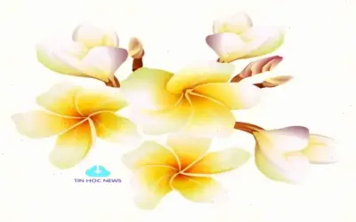 Khám Phá Bí Mật Của Hoa Sứ: Từ Màu Sắc Rực Rỡ Đến Ý Nghĩa Đặc Biệt