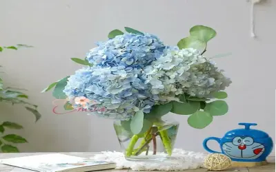 Hoa Cẩm Tú Cầu Cắm Bình: Cách Làm Mới Không Gian Sống Của Bạn