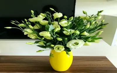 Khám Phá Ý Nghĩa Hoa Cát Tường: Biểu Tượng May Mắn Và Hạnh Phúc