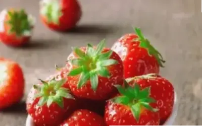 10 Thực Phẩm Tốt Cho Sức Khỏe Mà Bạn Không Thể Bỏ Lỡ