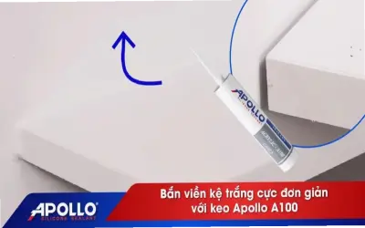 Khám phá bí ẩn Lỗ trắng: Bạn có dám thử ngay?