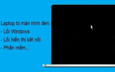 Khám phá tại sao màn hình máy tính không hiển thị ngay!