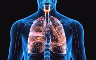 Thực phẩm lý tưởng cho bệnh phổi mãn tính nặng: Khám phá ngay!