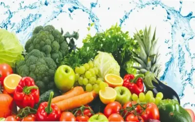 Khám Phá 10 Thực Phẩm Tăng Trao Đổi Chất Siêu Hiệu Quả