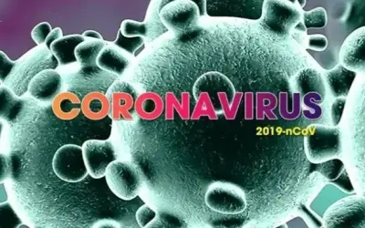 Thực phẩm lý tưởng cho bệnh phổi cấp tính: Khám phá ngay!