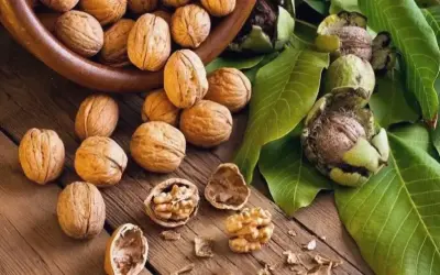 Khám Phá 10 Thực Phẩm Tốt Nhất Cho Sức Khỏe Tim Mạch!