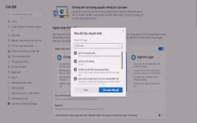 Hướng dẫn nhanh chóng sửa lỗi mạng có kết nối nhưng không vào web