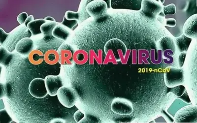 Top thực phẩm hỗ trợ bệnh phổi mãn tính: Khám phá ngay!