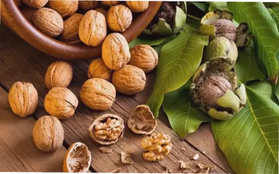 10 Thực Phẩm Tốt Nhất Cho Trí Não – Cải Thiện Ngay Hôm Nay!