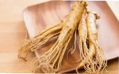 Khám phá thực phẩm giúp kiểm soát viêm mũi dị ứng mãn tính ngay!