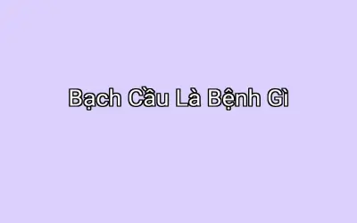 Bạch Cầu Là Bệnh Gì