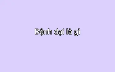 Bệnh dại là gì
