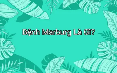 Bệnh Marburg Là Gì?