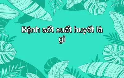 Bệnh sốt xuất huyết là gì
