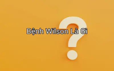 Bệnh Wilson Là Gì