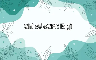 Chỉ số eGFR là gì