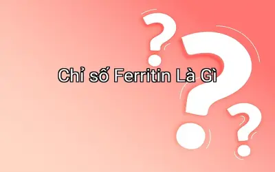 Chỉ số Ferritin Là Gì