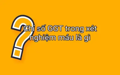 Chỉ số GGT trong xét nghiệm máu là gì
