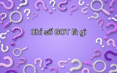 Chỉ số GOT là gì