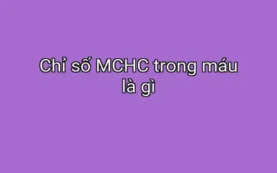 Chỉ số MCHC trong máu là gì