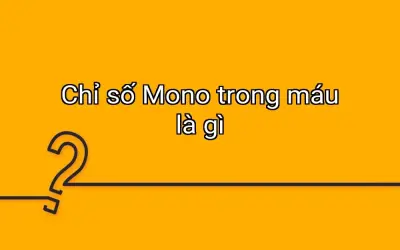 Chỉ số Mono trong máu là gì