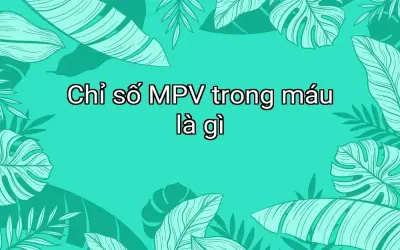 Chỉ số MPV trong máu là gì