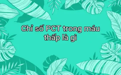 Chỉ số PCT trong máu thấp là gì