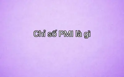 Chỉ số PMI là gì