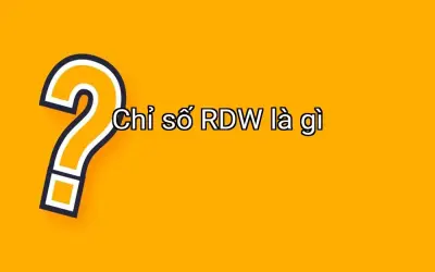 Chỉ số RDW là gì
