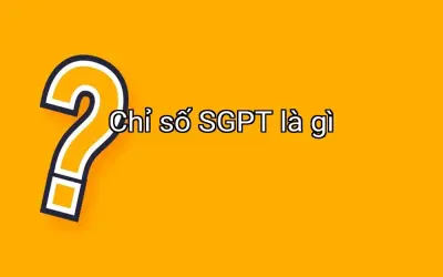 Chỉ số SGPT là gì