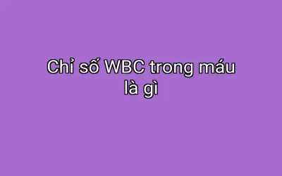 Chỉ số WBC trong máu là gì