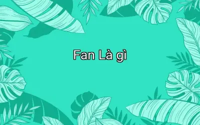 Fan Là gì