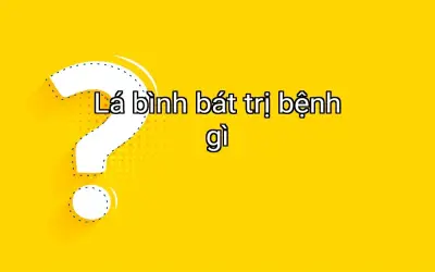Lá bình bát trị bệnh gì