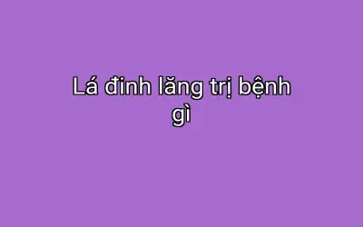 Lá đinh lăng trị bệnh gì