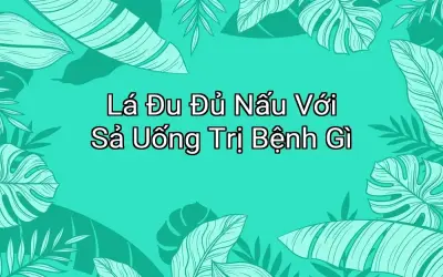 Lá Đu Đủ Nấu Với Sả Uống Trị Bệnh Gì