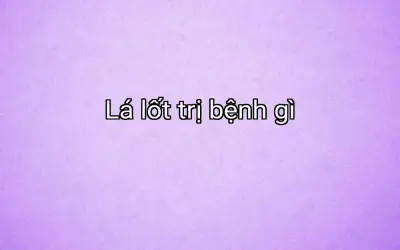 Lá lốt trị bệnh gì