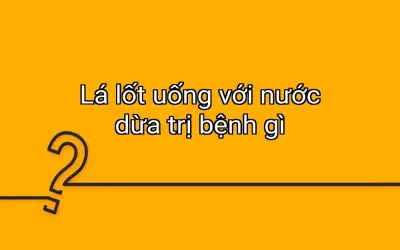 Lá lốt uống với nước dừa trị bệnh gì