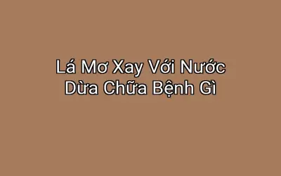 Lá Mơ Xay Với Nước Dừa Chữa Bệnh Gì
