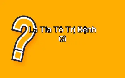 Lá Tía Tô Trị Bệnh Gì