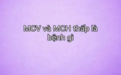 MCV và MCH thấp là bệnh gì