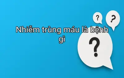 Nhiễm trùng máu là bệnh gì