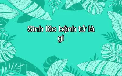 Sinh lão bệnh tử là gì