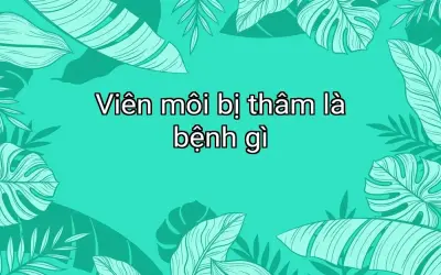 Viên môi bị thâm là bệnh gì