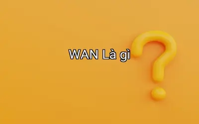 WAN Là gì