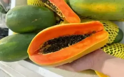 Khám phá 7 thực phẩm tự nhiên giúp chữa mất ngủ hiệu quả!