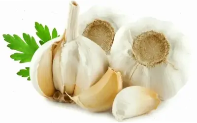 5 Thực Phẩm Giúp Giảm Viêm Mũi Dị Ứng Ngay!