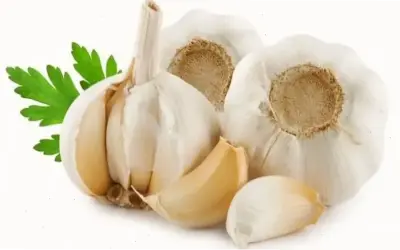 Top thực phẩm giúp cải thiện viêm mũi mãn tính ngay hôm nay!