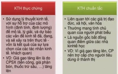 Tại sao bạn cần viết chương trình máy tính ngay?