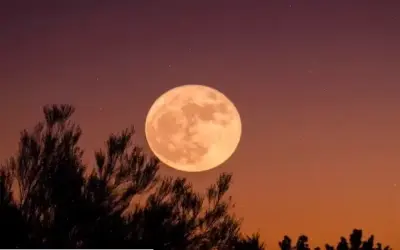 Khám Phá Avatar Ánh Trăng Aesthetic Độc Đáo Của Bạn!