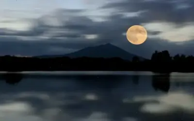 Avatar Ánh Trăng: Đẹp, Độc Nhất, Hấp Dẫn – Nhấp Ngay!